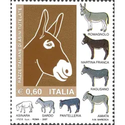 Geschützte italienische Eselrassen