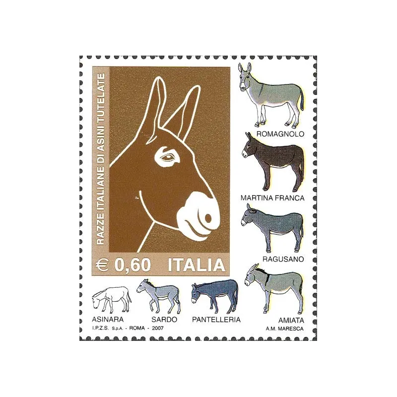 Protected Italian breeds of donkeys