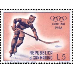 Vii winter Olympic games, a summer court