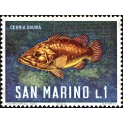 Fauna marina
