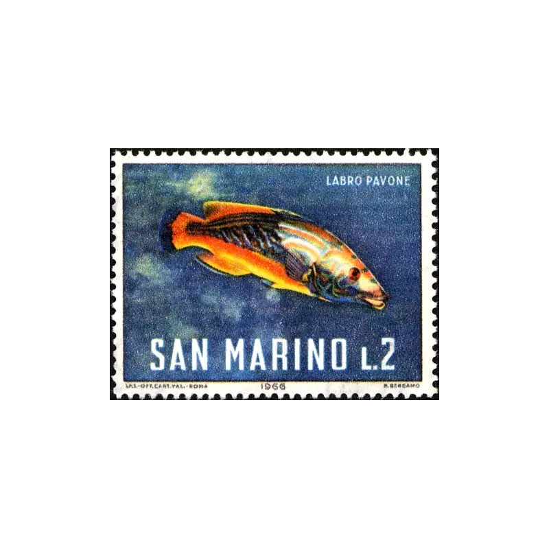 Faune marine Faune marine