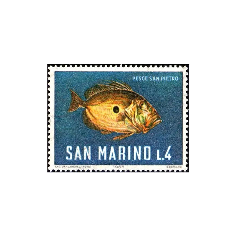Marine fauna Marine fauna