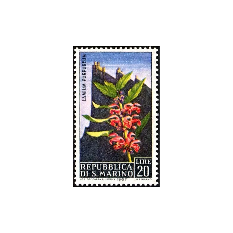 Fleurs - 3ème numéro Fleurs - 3ème numéro