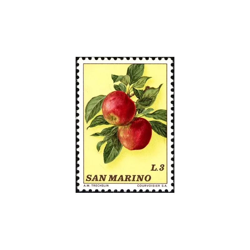 Fruit Fruit