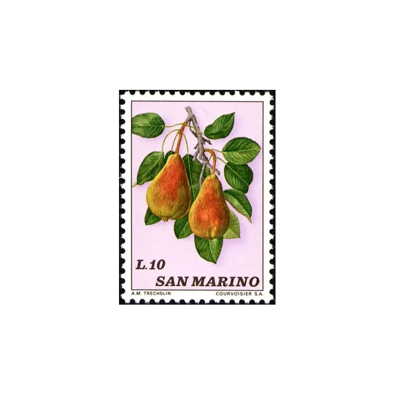 Fruta Fruta