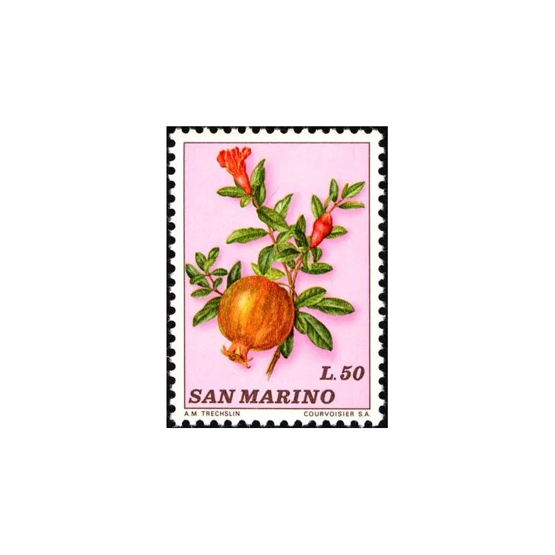 Fruit Fruit