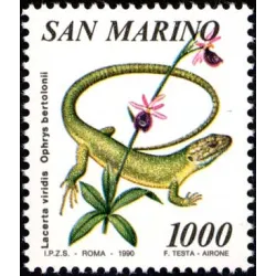 Flora und Fauna von san marino