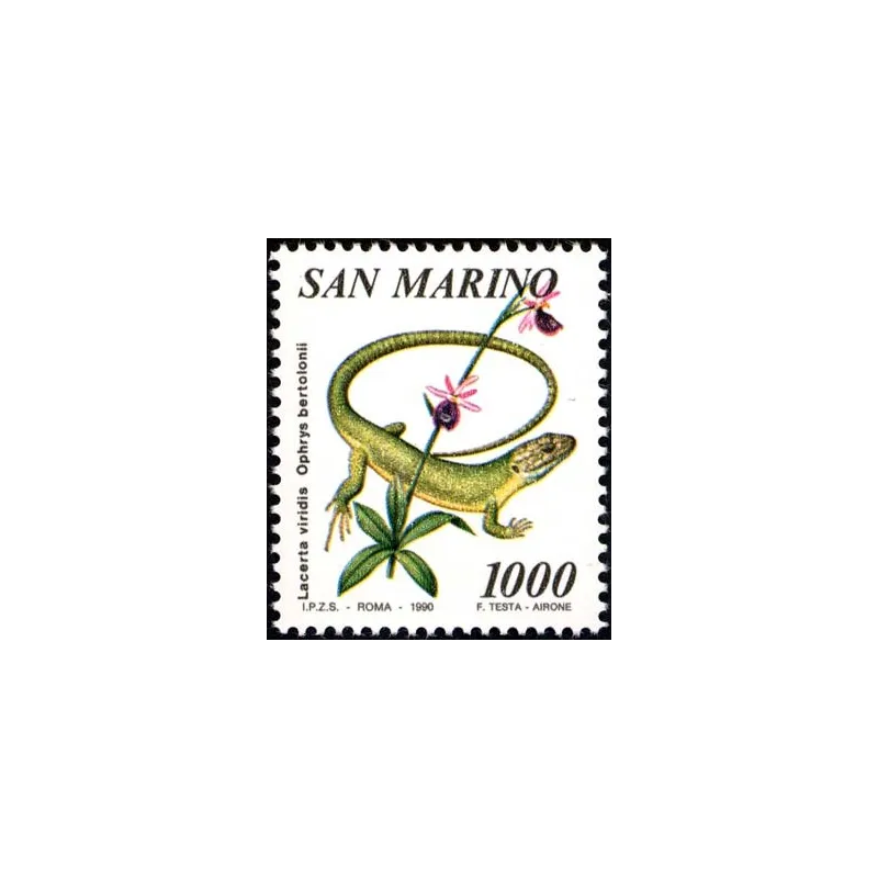 Flore et faune de san marino