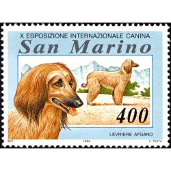 Exposición internacional canina