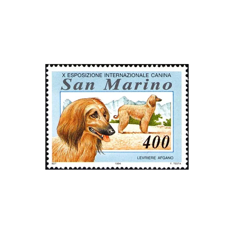 International exhibition canine International exhibition canine