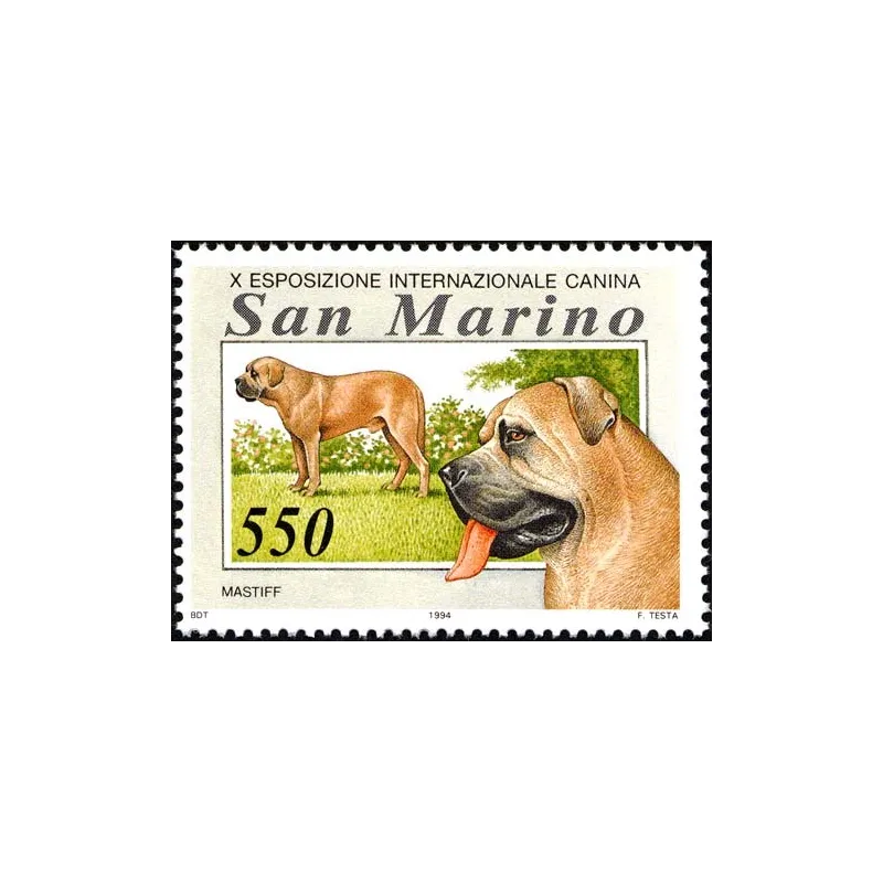 Exposición internacional canina Exposición internacional canina