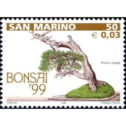 Bonsai exhibition in san marino