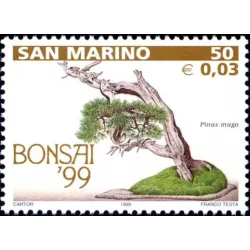 Bonsai exposición en san marino