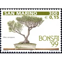 Bonsai Ausstellung in San marino