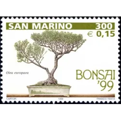 Mostra di bonsai a San Marino