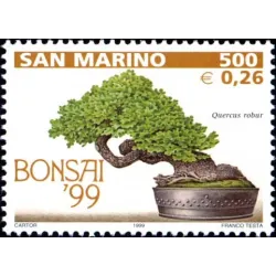 Exposition de bonsai à san marino