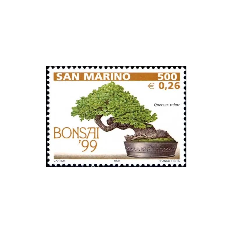 Bonsai exposición en san marino Bonsai exposición en san marino