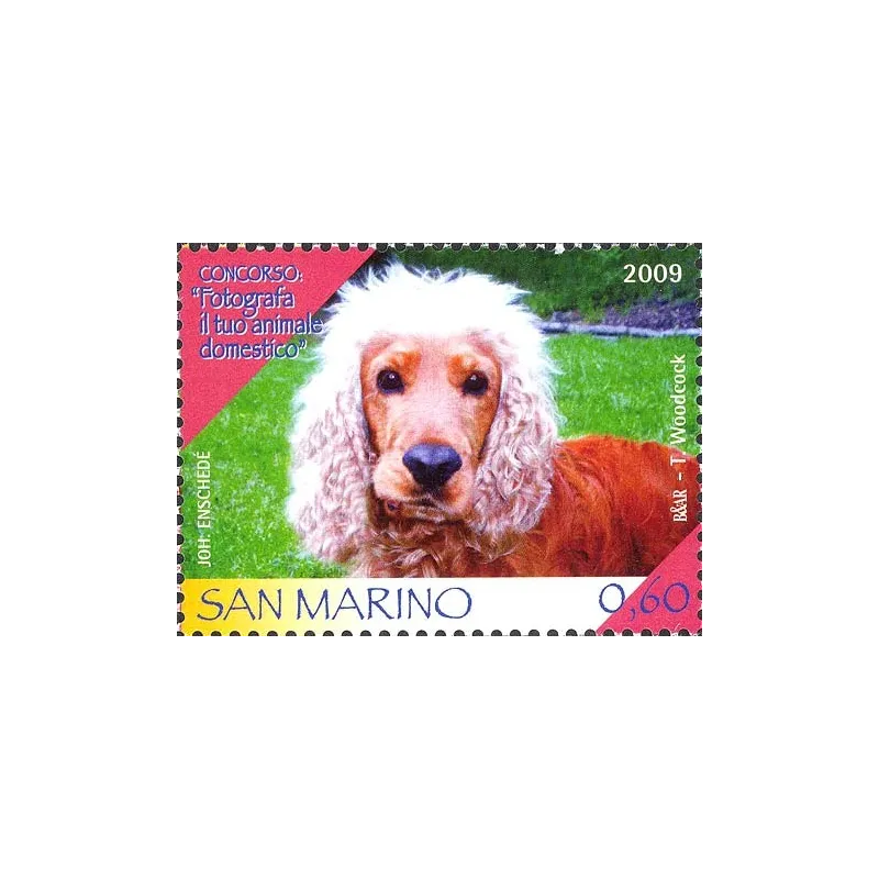 Concorso: fotografa il tuo animale domestico Concorso: fotografa il tuo animale domestico