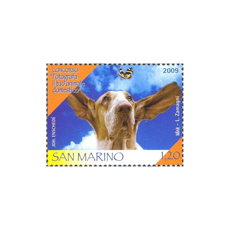 Concurso: fotografiar a tu mascota Concurso: fotografiar a tu mascota