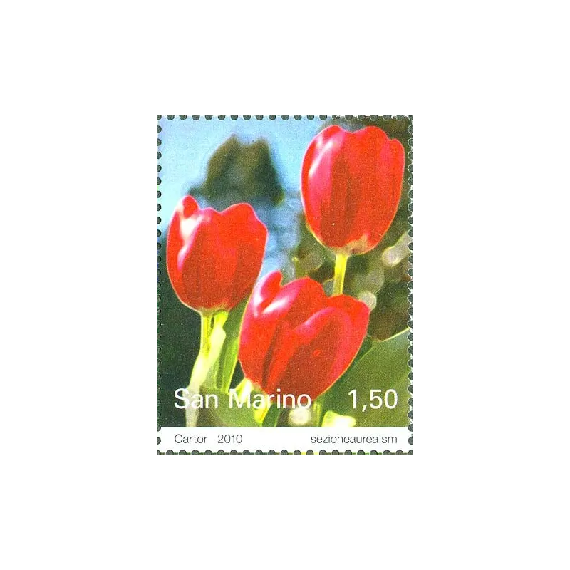 Blumen Blumen