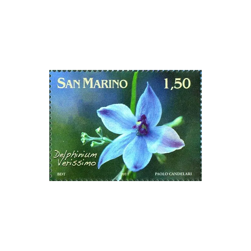 Flowers dedicated to san marino