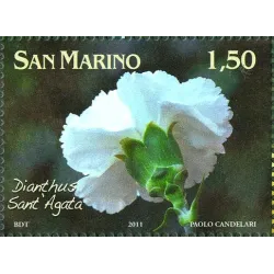 Blumen für San marino