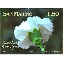 Flowers dedicated to san marino