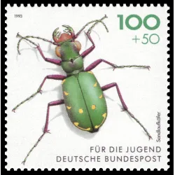 Scarab tiger green
