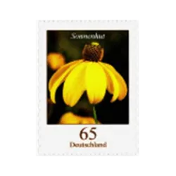 Echinacea (Rudbeckia lightning)