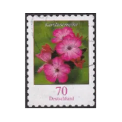 Rose (Dianthus carthusianorum)
