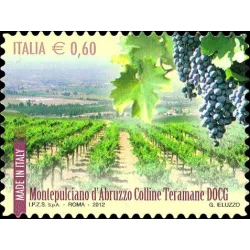Made in Italy: DOCG wines