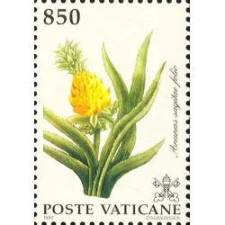Flora del nuovo mondo